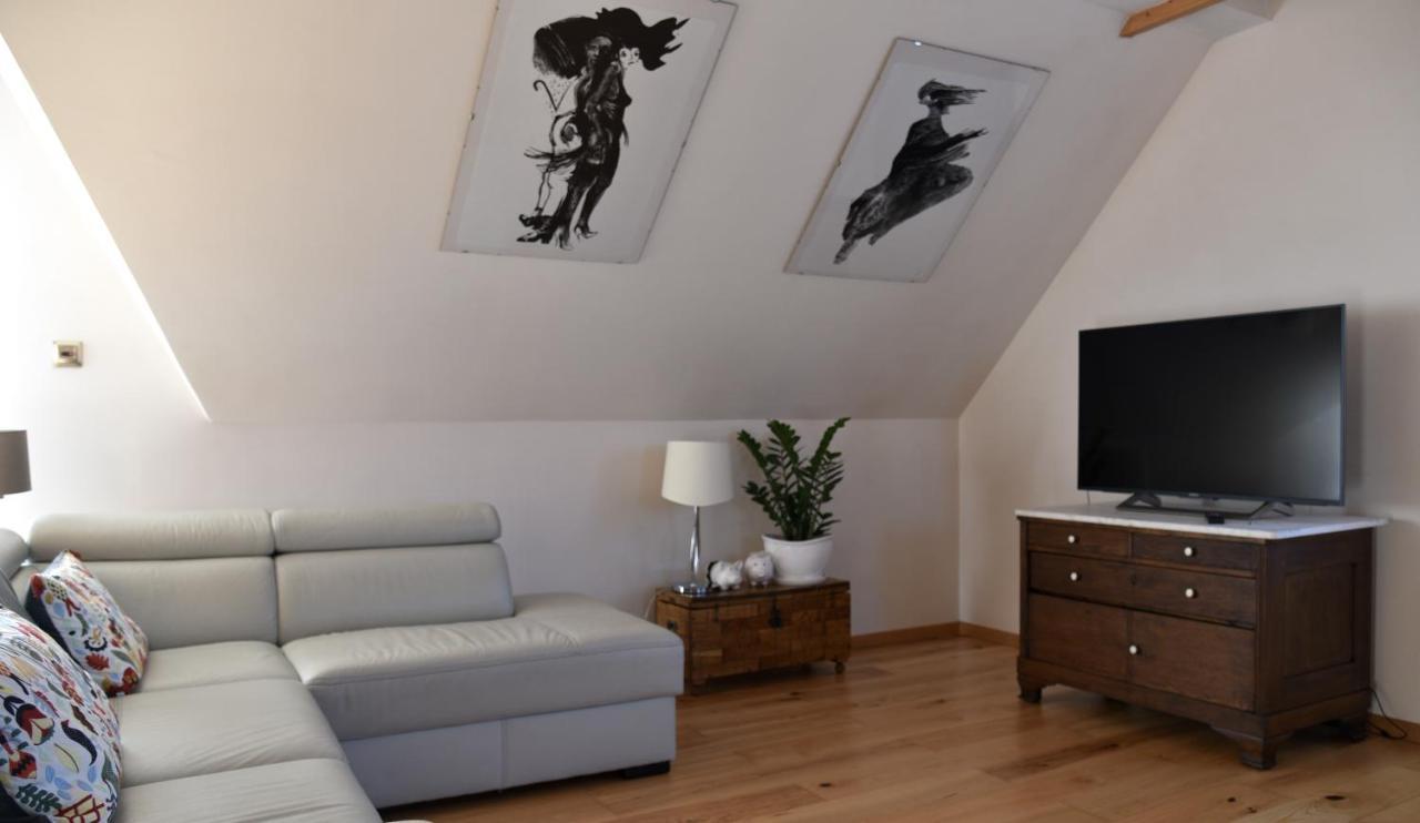 Vip Apartment In Mogilany Close To Krakow Air Con Wlan Highspeed 외부 사진